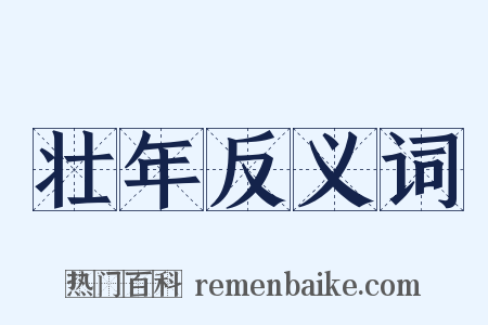 壮年反义词是什么意思的图片